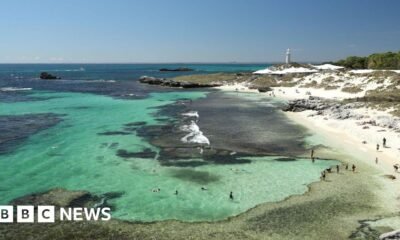 Man killed by 13ft shark in Western Australia