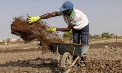 Iran war forces farmers to seek fertilizer alternatives from cow dung to compost