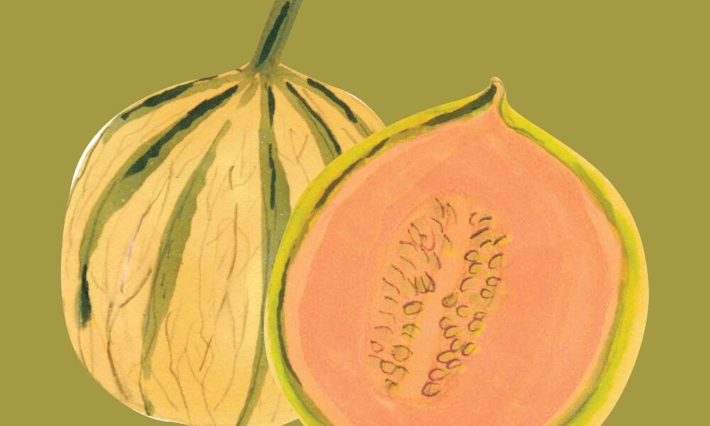 9 Types of Melons to Try This Summer
