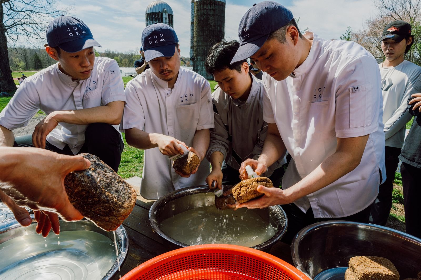 Why Some of Americas Most Influential Korean Chefs Are Turning to Farming