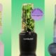The Best Personal Blenders for Solo Smoothies and Small Batch Sauces
