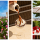 LE JARDIN DE CHEVAL BLANC PARIS REOPENS THIS FRIDAY FOR SUMMER