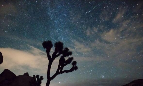 Bootids Meteor Shower May Explode With Meteors or Fizzle Out: How to Watch