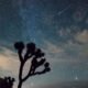 Bootids Meteor Shower May Explode With Meteors or Fizzle Out: How to Watch