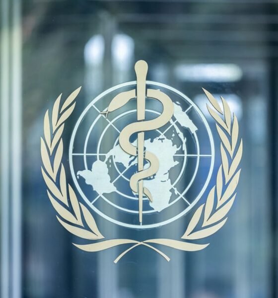 Epidemic of Ebola Disease caused by Bundibugyo virus in the Democratic Republic of the Congo and Uganda determined a public health emergency of international concern