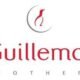 Signing by Guillemot Brothers Limited a new extension to an Agreement for Ubisoft Entertainment SA Shares Purchase