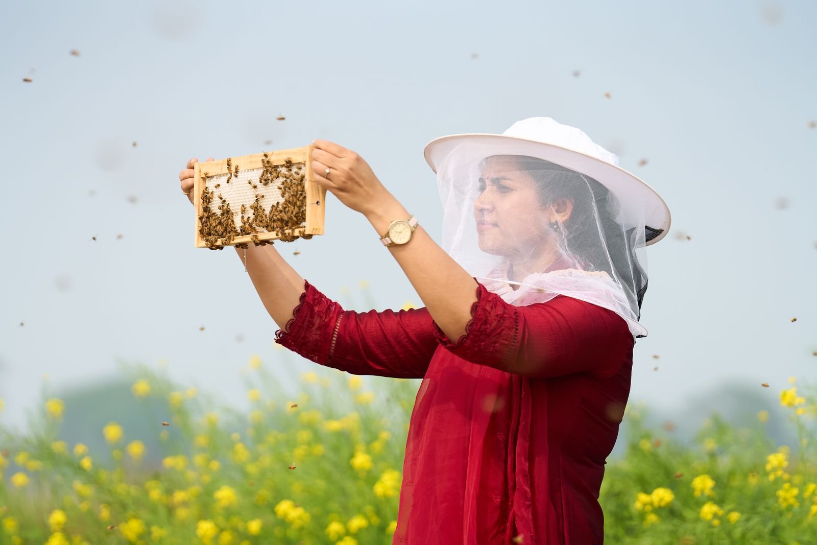 Thousands of Indian women are earning their first salary because of bees